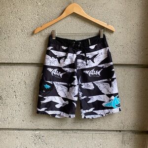 Sz 12 Kids Maui & Sons Boardshorts